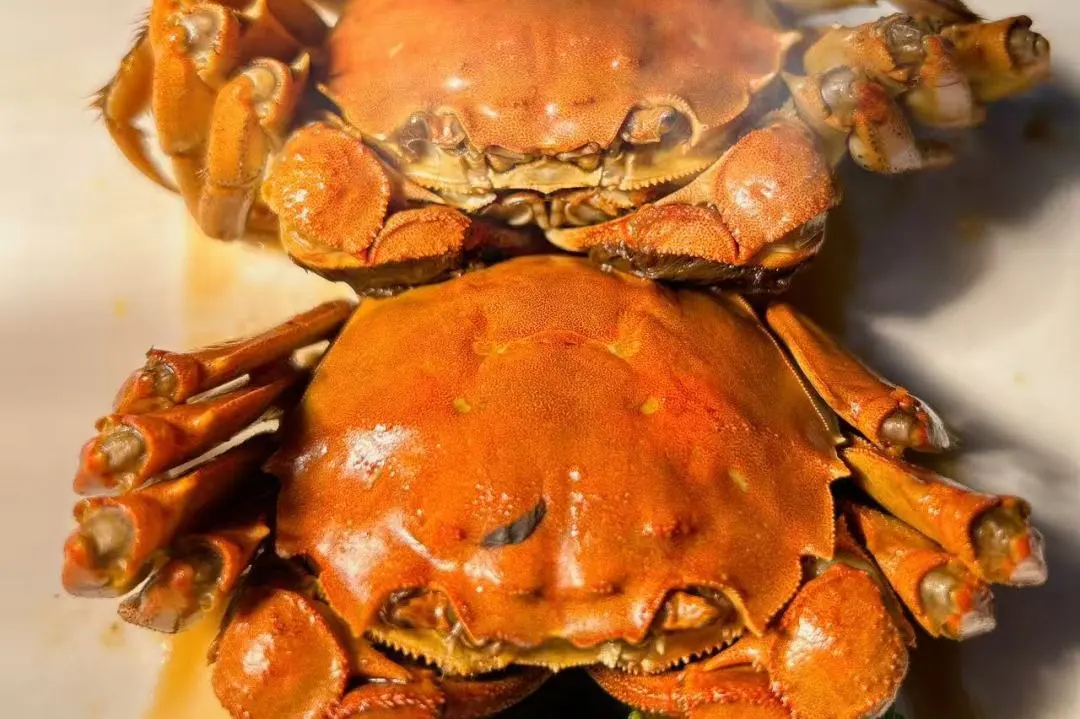 微信圖片_2025-11-28_203419_939.png